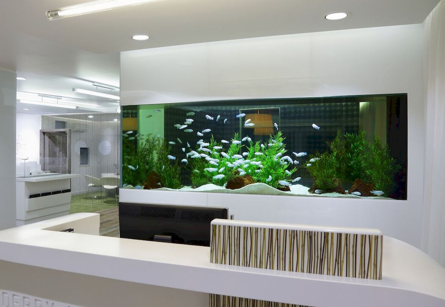  Aquarium design  peu conventionnel Id es D coration